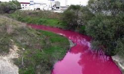 Ergene Nehri'ni kirleten işletmenin faaliyeti durduruldu