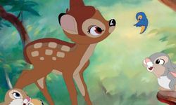 Yüzlerce geyik öldüren avcıya, hapiste her ay Bambi filmini izleme cezası