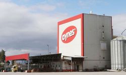 Aynes Gıda TMSF'ye devredildi