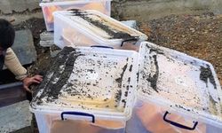 ÖHD’den cenazelerin kaldırıma gömülmesine ilişkin rapor