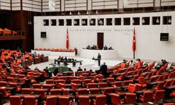 27 ayda 500 bin liradan fazla maaş aldılar: 27. dönem milletvekillerinden 32'si kürsüye milletvekili yeminini okumak dışında çıkmadı