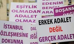 HDP'li Vekil Feleknas Uca, Türkiye'nin İstanbul Sözleşmesi'nden çekilme kararı AKPM'ye taşıdı