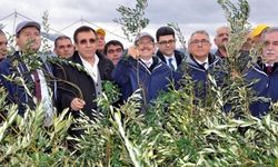 AKP'li vekil : Bu santral Soma'ya ve aynı yere yapılacak