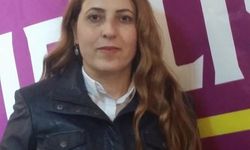 Hülya Avşar: HDP’nin güzelliği Demirtaş’ın yüzüne yansımış