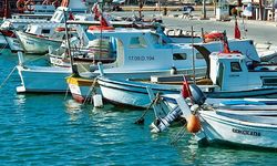 Rumlar Türkiye'ye geri dönecekler mi?