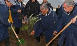 'Yırca'ya dikiyoruz' dedikleri ağaçlardan Yırcalıların haberi yok!