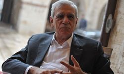 Ahmet Türk: Kürtler kimsenin askeri değildir
