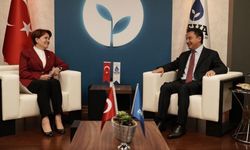 Meral Akşener, Ali Babacan'ı ziyaret etti