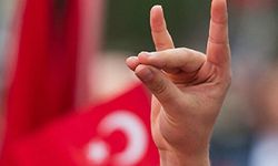 Kazakistan'da 'Bozkurtlar' neden terör örgütü sayılıyor?