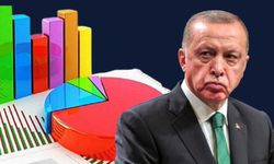 'Erdoğan mı, rakibi mi?' anketi