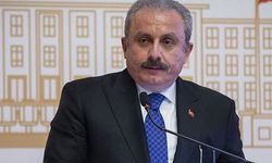 Meclis Başkanı Mustafa Şentop: Bu kadar çok fezleke olmasından rahatsızım