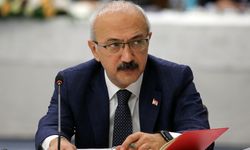 'Lütfi Elvan’ın yerine Prof. Dr. Erişah Arıcan geçecek' iddiası