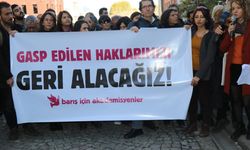 OHAL Komisyonu 45 akademisyenin işe iade başvurusunu reddetti