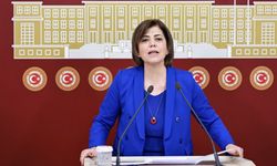 Meral Danış Beştaş: HDP olarak adaylık tartışmamız yok