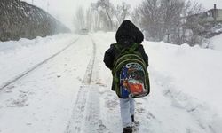 3 kentte eğitime kar yağışı nedeniyle ara verildi