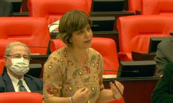 Leyla Güven'in 'yasaklı elbisesini' Meral Danış Beştaş Meclis'te giydi