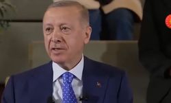 Türkiye'de yaşayan Japon vatandaştan Erdoğan'a: Japonca'da öyle bir atasözü yok