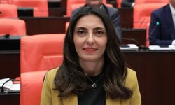 CHP'li vekilden Aynur Doğan'a destek: Dar Hejiroke'yi Meclis'te söyledi