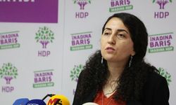 HDP'li Günay: Kürt basını dün faili meçhullere karşı susmadı bugün de susmayacak