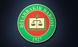 Diyarbakır Barosu başvurdu, Avrupa Konseyi'nin tüzüğü değişti