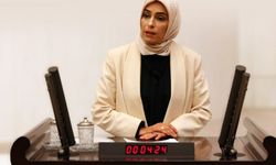 Zehra Taşkesenlioğlu'ndan Sedat Peker'in iddialarına yanıt: Kadına karşı şiddete maruz kaldım