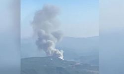 Denizli'de orman yangınının söndürüldüğü bölgeye yakın noktada yeni bir yangın çıktı