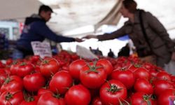 Sebze ve meyve fiyatları 7 yılın rekorunu kırdı
