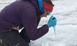 Eriyen buzullar nedeniyle tonlarca mikrop doğaya karışabilir