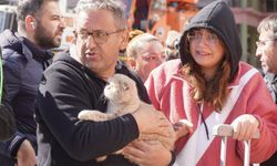 Diyarbakır'da son kedi de kurtarıldı!