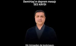 Demirtaş'tan sesli mesaj: Kötülüğe karşı mücadele etmeye devam edelim