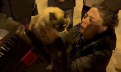 Galeria Sitesi’nin enkazından altı kedi kurtarıldı, Jahren aranıyor