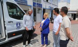 Bodrum Belediyesi sokak hayvanları için bilinçlendiriyor