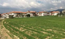 OSB’lerde kira ve arsalar el yakıyor
