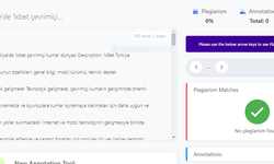 Türkiye'de deneyimli bir çevrimiçi oyun dünyası