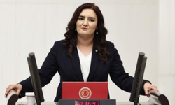 CHP İzmir Milletvekili Sevda Erdan Kılıç: Vaad kopya; sonuç fiyasko