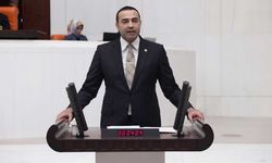 İYİ Partili milletvekili Seyithan İzsiz istifa etti: TBMM'de sandalye sayısı 35'e düştü