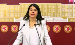 DEM Partili Altın: Çocuklar yetersiz beslenme ve yoksulluk sebebiyle okulları terk ediyor