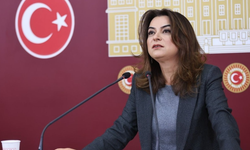DEM Parti: Meclis'te komisyon kurulması en acil görev