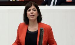 Meral Danış Beştaş: Bu Meclis komisyonu anayasa komisyonu vasfıyla çalışmayacak