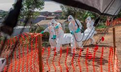 Ebola Kongo'da yayılıyor: Vaka sayısı 1155'e ulaştı