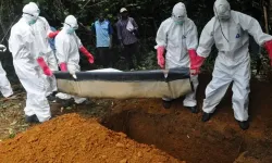 DSÖ: Ebola salgını kontrolden çıkıyor