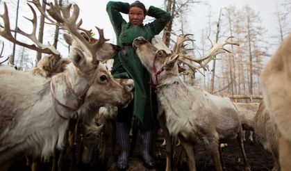 Moğolistan’da geyik yetiştiren göçebe halk