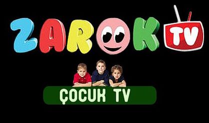 Kürtçe çocuk kanalı Zarok TV: Bizi izleyecek çocuk kalmadı!