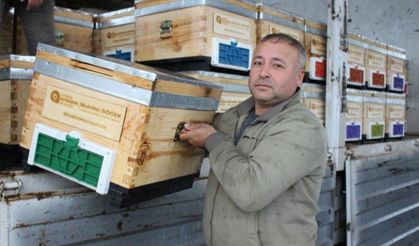 Antalya Kemer’de arı üreticilerine kovan desteği