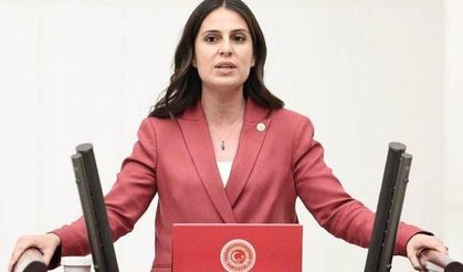 CHP Muğla Milletvekili Özcan: "Bu yatırım programı haksızlık sertifikasıdır"