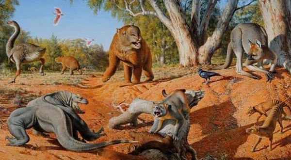 Avustralya'daki büyük hayvanların yok olmasının nedeni iklim değil insanlar