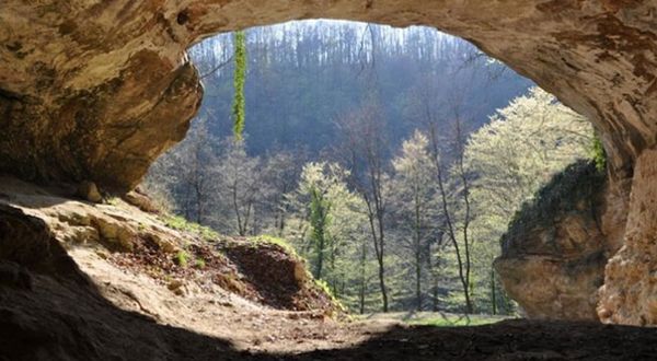 Mağara tortularında nesli tükenmiş insanların DNA'sı keşfedildi