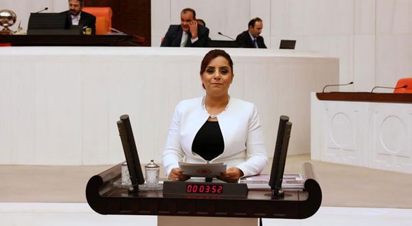 Selina Doğan, HDV’nin ‘Medyada Nefret Söylemi’ raporunu Meclis’e taşıdı