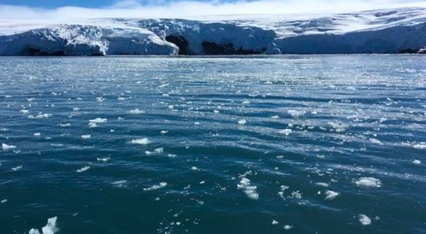 Dünyanın en ıssız ve uzak alanlarından Antarktika'da plastik bulundu