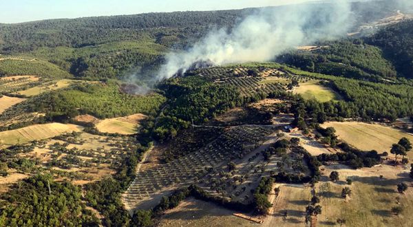 Bergama'da 3 buçuk hektarlık ormanlık alan yandı